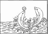 Dolphin Coloring Printable Pages Kids sketch template