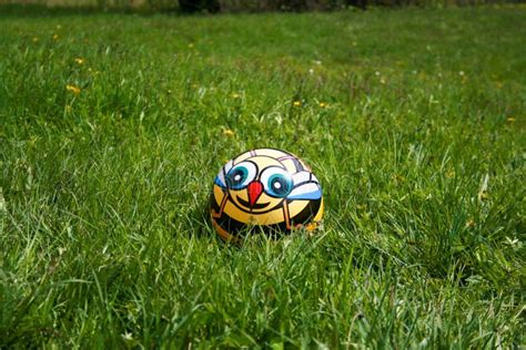 ball  grass stock image image  playing play object