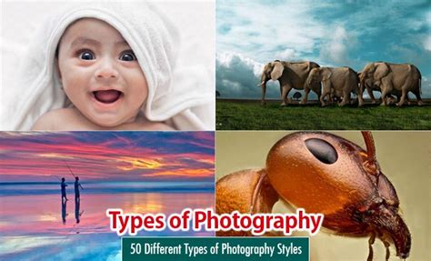 types  photography styles  examples