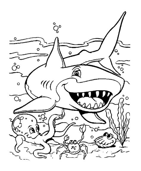 shark drawing    color sharks kids coloring pages