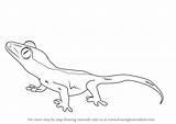 Gecko Crested Draw Drawing Reptiles Step Animals Tutorials Drawingtutorials101 sketch template