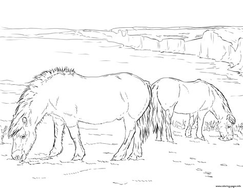 horse ponies coloring page printable