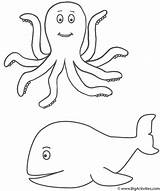 Octopus Whale Coloring Pages Sea Kids Fish Print Clipart Template Rainbow Marine Bigactivities Color Aubs Birthday Library Boy Activity sketch template