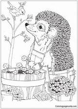 Hedgehog Pages Flowers Picking Coloring Color sketch template