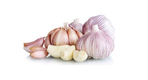 normal white garlic qingdao muyi international trading coltd