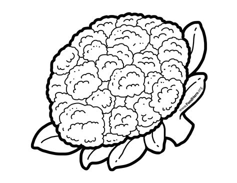 cauliflower illustration   foodheroorg bullentinboards