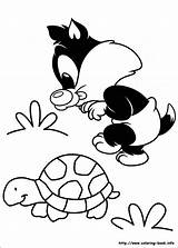 Looney Tunes Silvestro Sylvester Tartaruga Gatto Frajola Colorat Titti Toons Tweety Kolorowanki Planse Animados Stampare Desenelor Bebelusii Getcolorings Desene Desenhar sketch template