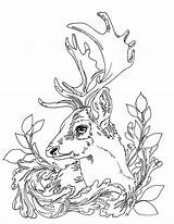 Coloring Deer Pages Adult Printable Adults Animals Etsy Au Patterns Drawing sketch template