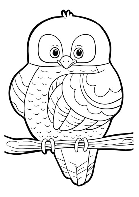 owl coloring pages books    printable