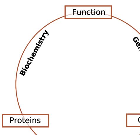 file schematic relationship between biochemistry genetics