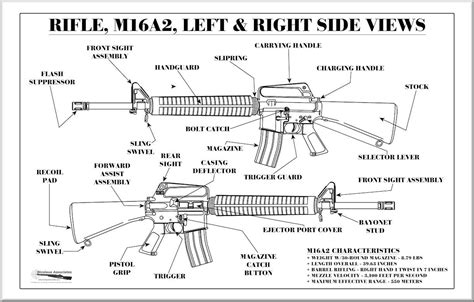 rifle ma left  side views poster  weapon  pinterest diagram