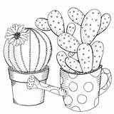 Cactus Succulent Suculentas Succulents Pintar Macetas Bordar Verbnow Dibujadas Watering Coloriage sketch template