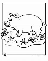 Pig Coloring Pages Kids Printable Farm Pigs Animals Animal Baby Template Colouring Bestcoloringpagesforkids Valentine Sheets Cute Jr Cartoon Printables Print sketch template