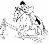 Horse Jumping Coloring Pages Drawing Provides Every Body Collection Pencil sketch template