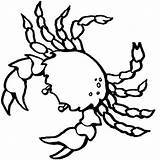 Crab Pages Coloring Printable Kids Color sketch template