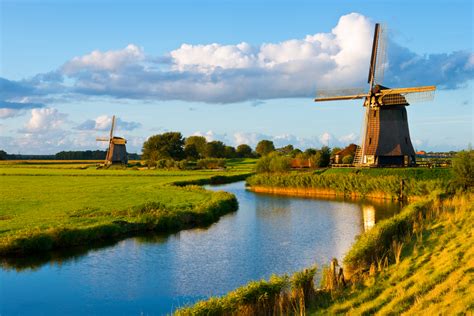 fietsroute molens polders en koeien hollands landschap fietsen