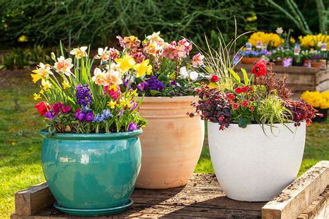 beautiful flower pots  home  homes  gardens