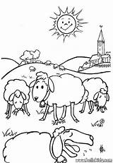 Coloring Pages Sheep Farm Animal Eid Kids Adha Al Coloriage Book Scene Printable Color Print Lamb Pré Moutons Un Hellokids sketch template
