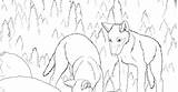 Pups Wolf Coloring Book sketch template