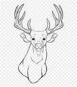 Coloring Head Deer Reindeer Pages Drawing Book Elk Tailed Tattoo Simple Designs Printable Vhv Clipartkey sketch template