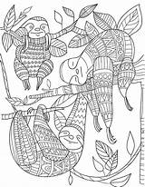 Sloth Mandala Faultier Zentangle Paresseux Faultiere Mandalas Coloriage Adults Erwachsene Malen Puppy Zentangles Luiaard Tierbilder Buch Dessin Kleurplaten Colorier Malbuch sketch template