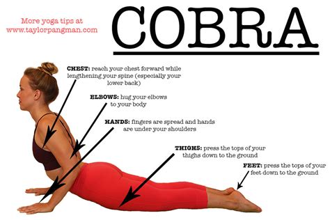 posture breakdown cobra pose bhujangasana taylor pangman yoga