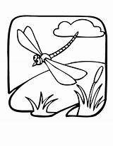 Dragonfly Dragonflies Bestcoloringpagesforkids Bumble sketch template