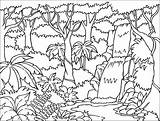 Selva Coloring Tropical Jungle sketch template