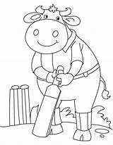 Buffalo Cricket Playing Coloring Kids sketch template