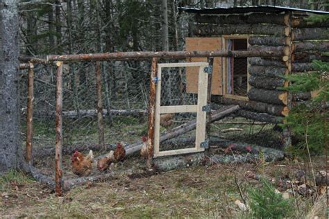 log cabin style chicken coop chicken runs chicken coop chicken diy