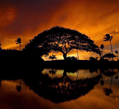 world s most beautiful nature reflection photography