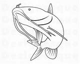 Catfish Fish sketch template