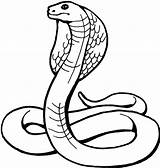 Pages Coloring Snake Anaconda Getcolorings sketch template