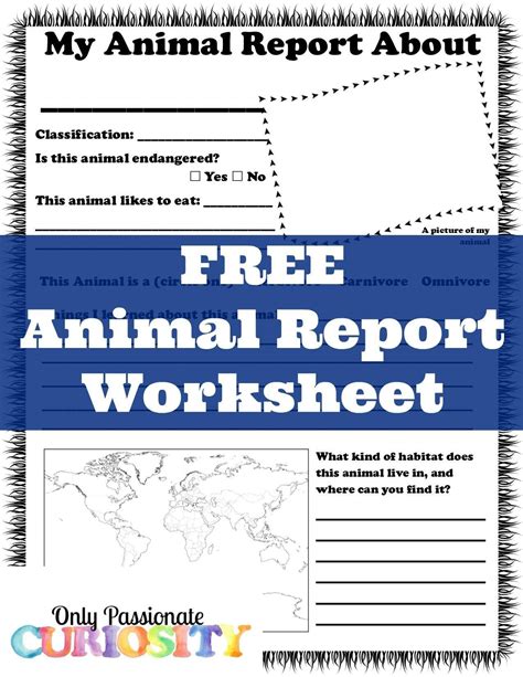 animal report worksheet artofit