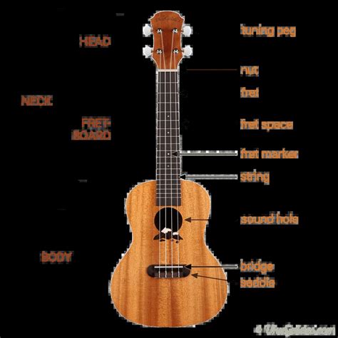 parts   ukulele explained   handy  ukutabs