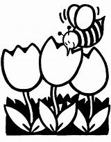 Coloring Pollination Kleurplaat Bij Para Kids Bees Colorear Spring Pages Printable Color Sheet Goo Designlooter Sheets Pintar Lente La Dibujos sketch template
