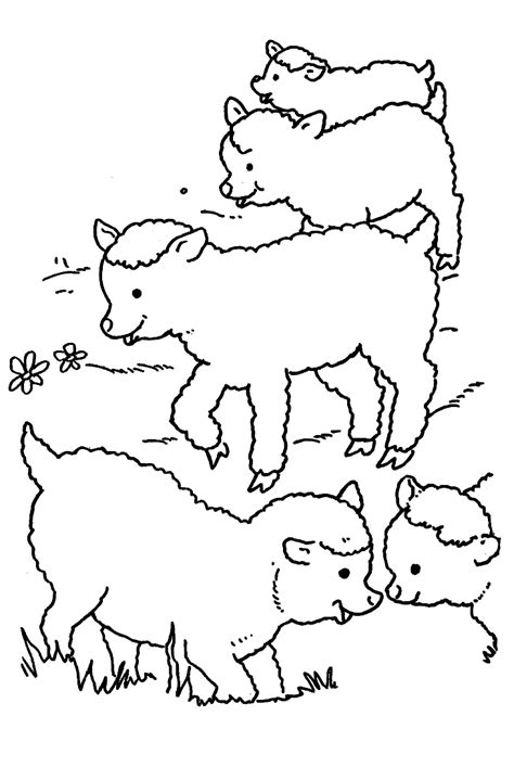 sheep coloring pages coloringpagescom