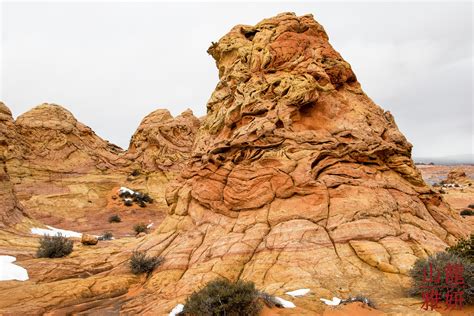 coyote buttes south northern arizona  forces created       flowing