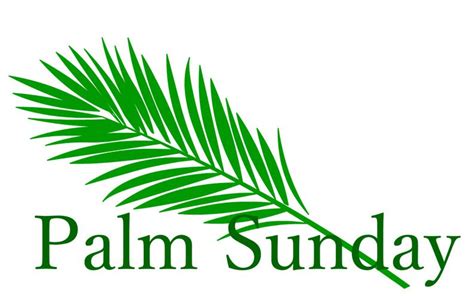 palm sunday worship  sermon  story   parades picton