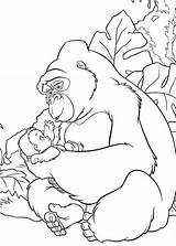 Gorilla Coloring Pages Cute Baby Printable Popular Getcolorings Color Coloringhome Taking Care sketch template