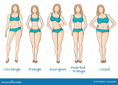 female body figures woman shapes  types stock vector illustration  hips model