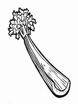 Celery Coloring Pages Vegetables Color Template Kids Recommended sketch template