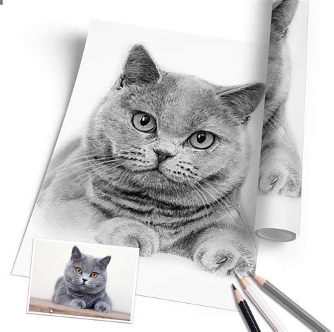 katze malen lassen katzen portrait zeichnen lassen direkt  bestellen lieferzeit