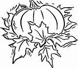 Coloring Pumpkin Pages Print Blank Kids Halloween Leaves Fall Large Drawing Printable Color Sheets Template Adults Pumpkins Patch Plant Book sketch template