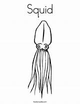 Squid Coloring Template Fish Pages Sharks Twistynoodle Built California Usa Noodle sketch template