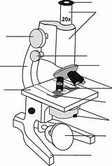 Microscope Drawing Parts Diagram Labeled Cliparts Sketch Grade Openstax Clipart Coloring Activity Catapult Template Mirror Jobilize sketch template