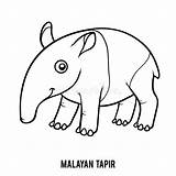 Tapir Malayan Colorare Malese Tapiro Malayo Malbuch Pages Mammals Illustrationen Ksenya Savva Gioia sketch template