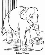 Zoo Coloring Pages Elephant Printable Kids Trunk sketch template