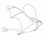 Flying Fox Drawing Getdrawings sketch template