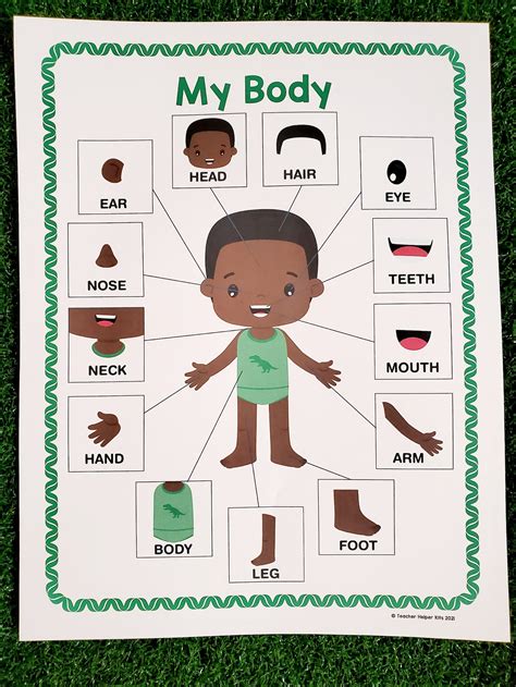 body parts poster human body parts    body etsy
